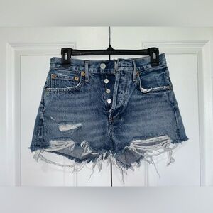 AGOLDE - Parker Vintage Cutoff Short in Clutch